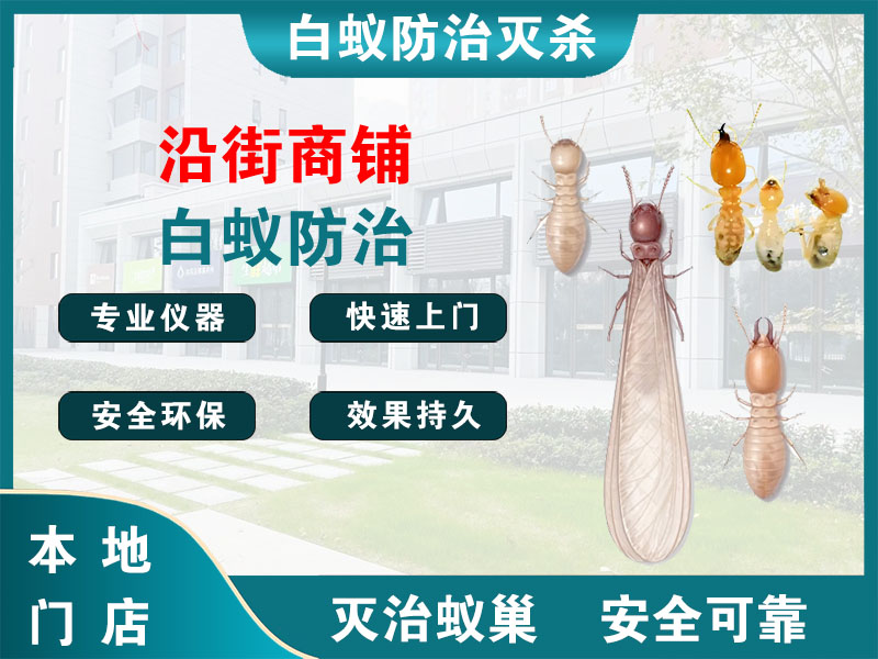 涟水沿街商铺白蚁防治