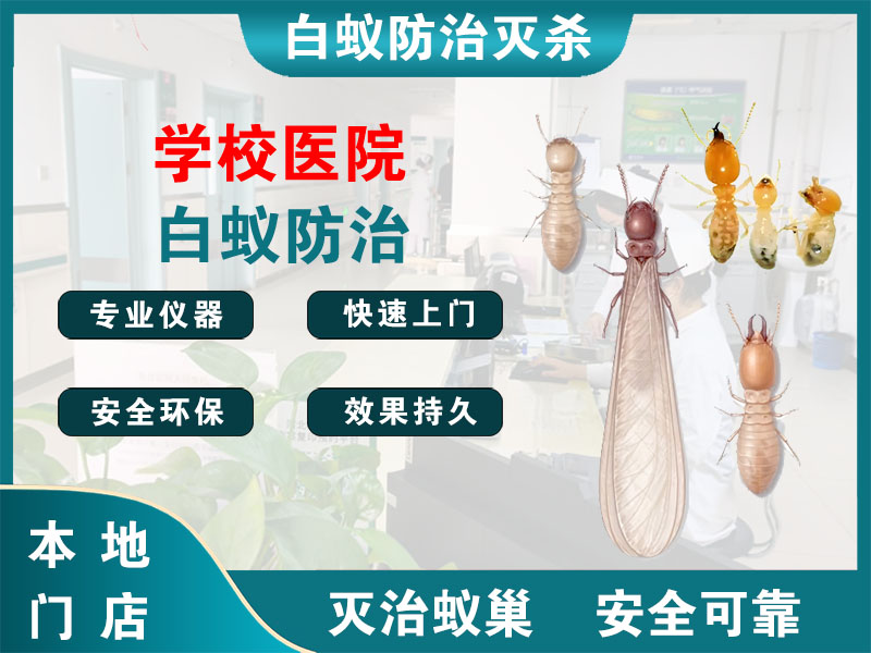 涟水学校医院白蚁防治