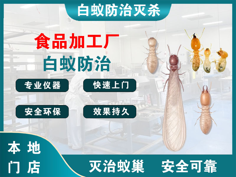涟水食品加工厂白蚁防治