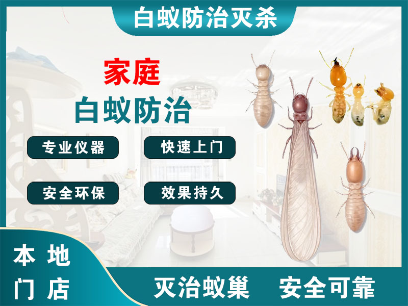 涟水家庭白蚁防治