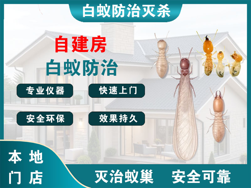 涟水自建房白蚁防治