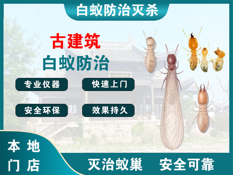 涟水古建筑白蚁防治