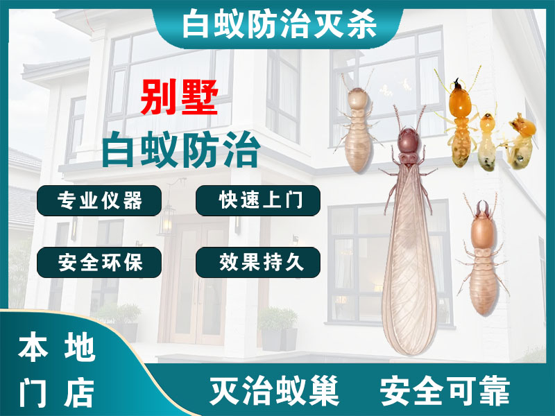涟水别墅白蚁防治