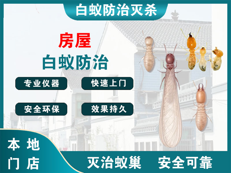 涟水房屋白蚁防治